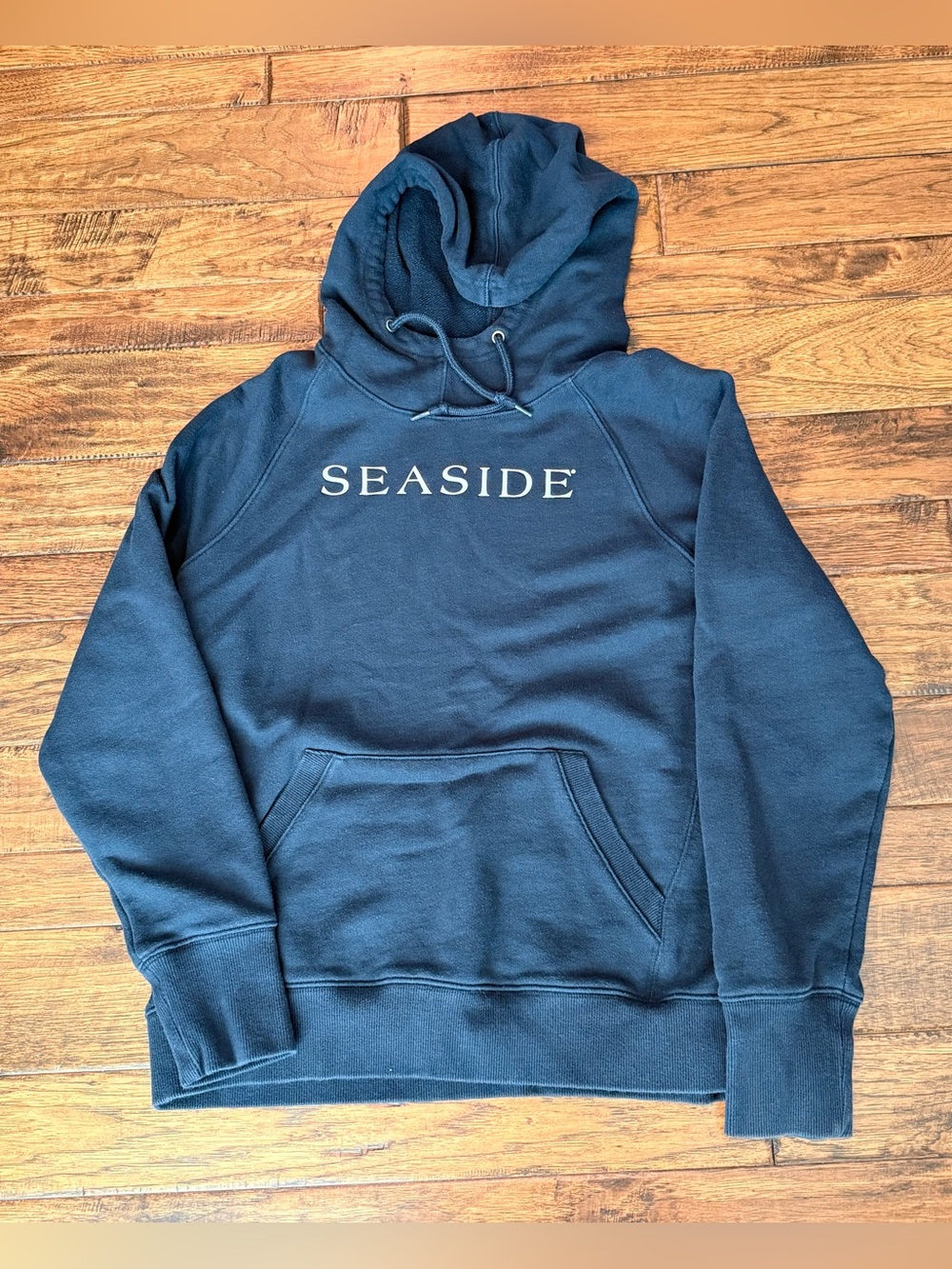 Seaside Navy Pullover Hoodie Sweatshirt Size Large Champion